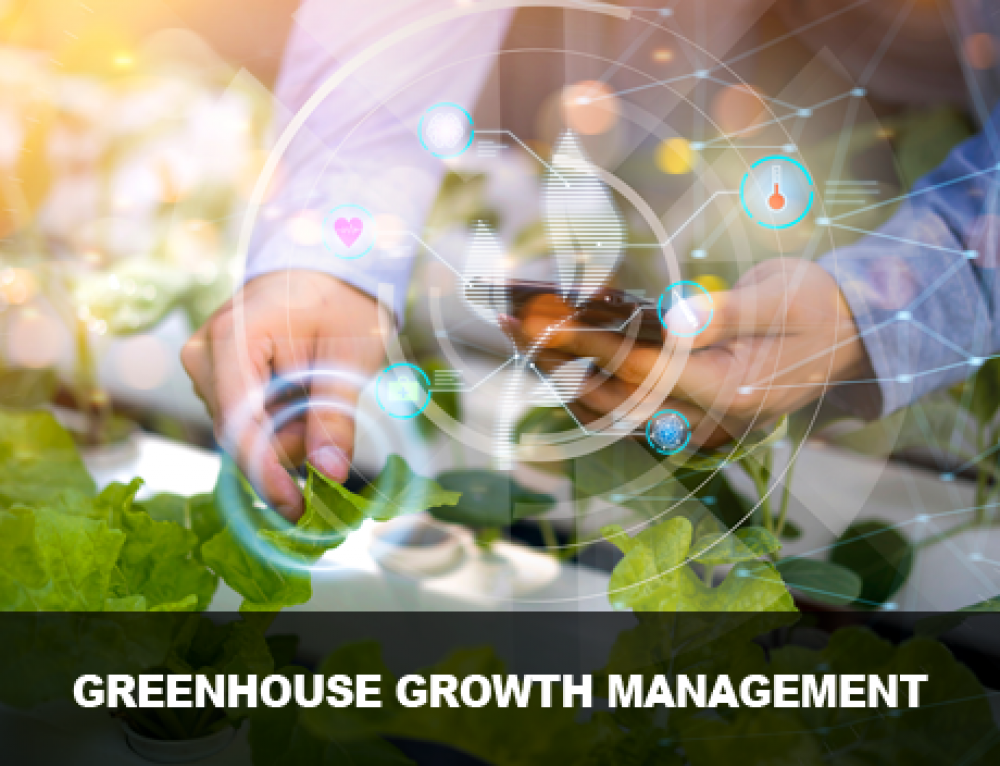 Automated Greenhouse Systems Greenhouse Automation Systems