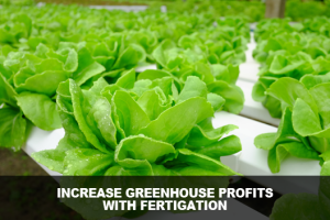 Increase Greenhouse Profits