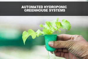 Automated Hydroponic Greenhouse Systems