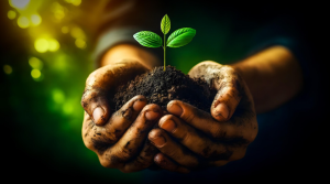 climate control 2026