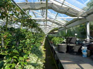 commercial greenhouse with solar meters