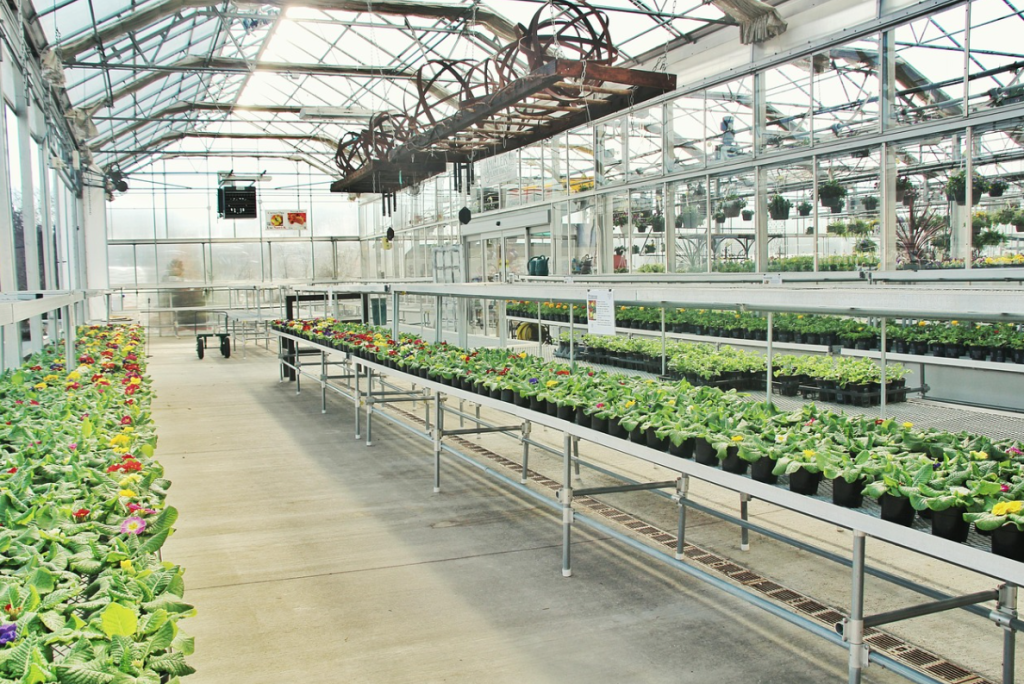 commercial greenhouse